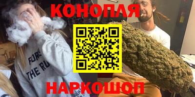 гашик Будённовск