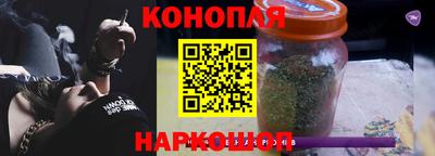 гашик Будённовск