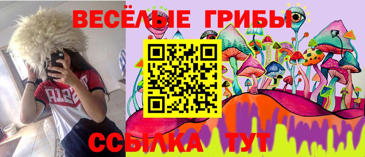 Галлюциногенные грибы Psilocybe  Вход с VPN  Нововоронеж 